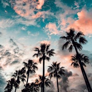 Meet your Posher, Myra